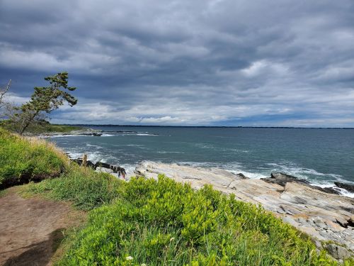 A rocky coastline under a cloudy sky, with green grass and shrubs in the foreground and waves crashing on the shore.