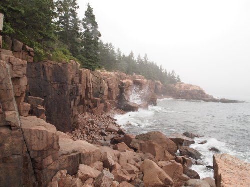Rocky coastline with crashing waves and misty trees in the background, creating a serene, natural landscape.