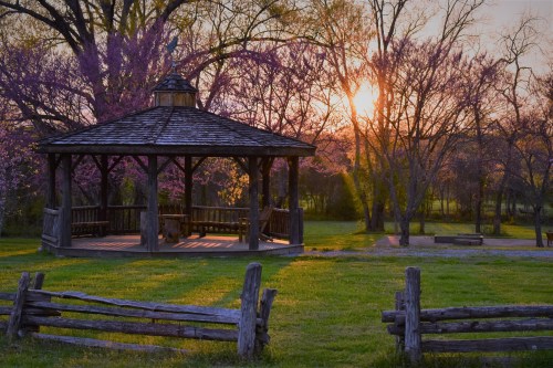 A wooden gazebo surrounded by blooming trees at sunset, with a grassy area and rustic wooden fence in the foreground.