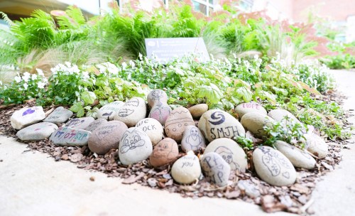 A collection of painted rocks with various messages and designs, arranged among greenery and flowers.