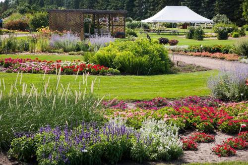 A vibrant garden filled with colorful flowers, green grass, and a white tent in the background.