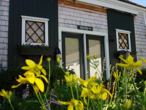 A charming barn with green shutters and flower boxes, surrounded by vibrant yellow flowers in the foreground.