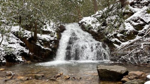 A snowy landscape featuring a small waterfall cascading over rocks into a clear stream, surrounded by green foliage.