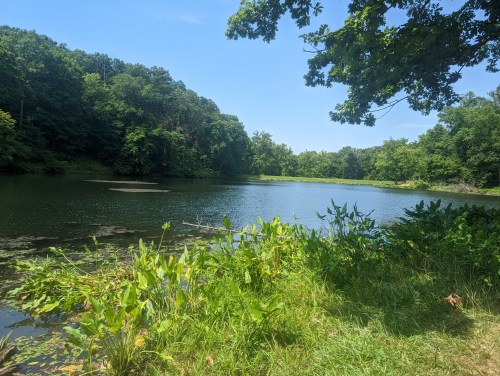 A serene lake surrounded by lush greenery and trees under a clear blue sky.