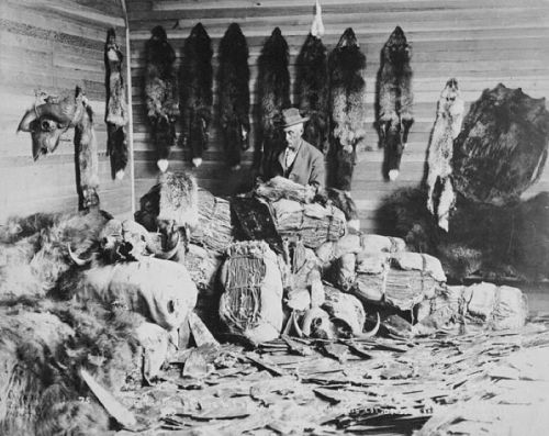 A man sits among various animal pelts and hides in a rustic interior, with more furs hanging on the wall behind him.
