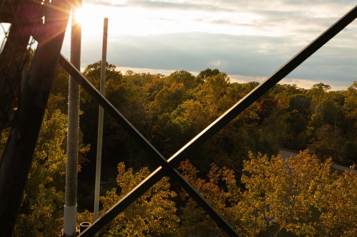 Sunlight filters through trees, casting a warm glow over a forest, framed by the structure of a tower.