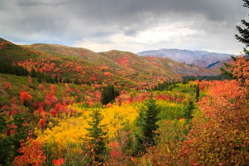 Vibrant autumn landscape with rolling hills covered in red, orange, and yellow foliage under a cloudy sky.