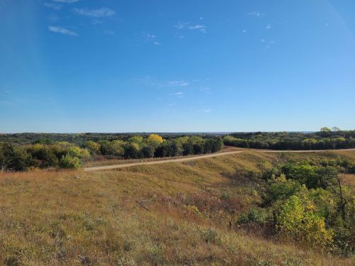 A scenic view of rolling hills and a winding dirt path, surrounded by green trees under a clear blue sky.