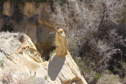 A tall, narrow rock formation stands on a cliff, surrounded by dry vegetation and a steep canyon.