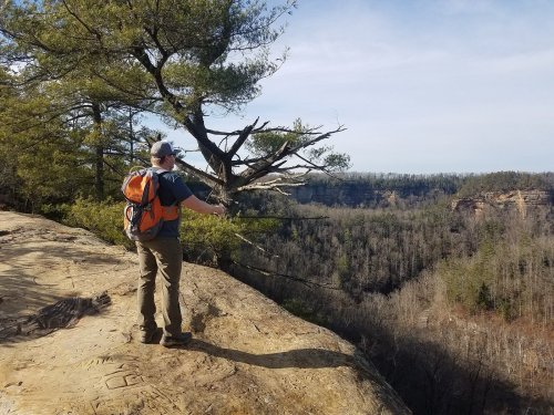 A hiker with an orange backpack stands on a rocky ledge, overlooking a wooded valley under a clear sky.
