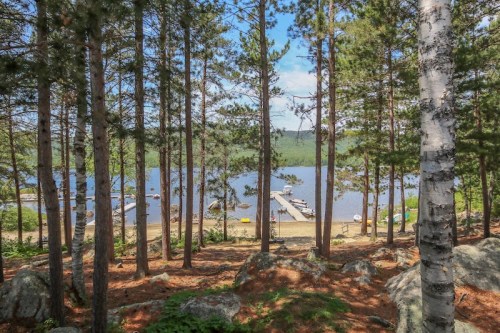 A serene lakeside view through tall trees, with a dock and boats visible on the water under a clear blue sky.