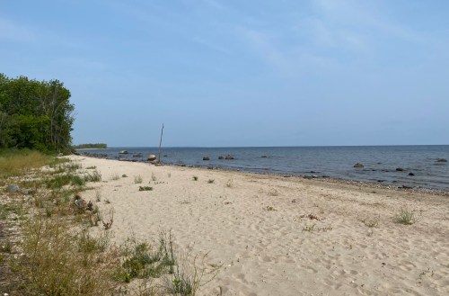A sandy beach with sparse vegetation, gentle waves, and a calm sky, bordered by trees on one side.
