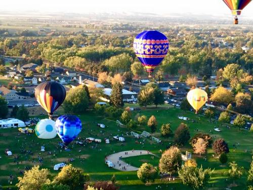 Colorful hot air balloons float above a park filled with trees and people, with a scenic landscape in the background.