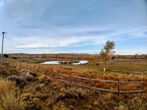 A serene landscape featuring a pond surrounded by autumn foliage and a wooden fence under a clear sky.