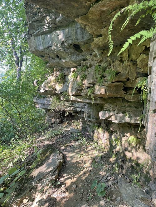 A rocky cliffside covered in greenery, with a narrow dirt path winding through the forest.