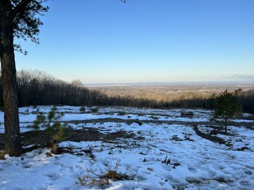 A snowy landscape with a view of distant hills and a clear blue sky, framed by trees in the foreground.