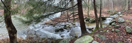 A serene forest scene featuring a flowing river, rocky banks, and trees, capturing the tranquility of nature.