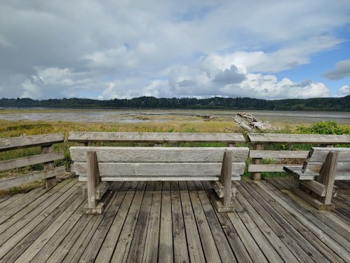 A wooden bench on a deck overlooking a marshy landscape with trees and cloudy skies in the background.