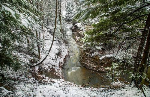 A serene winter scene of a creek flowing through a snowy forest, surrounded by evergreen trees.