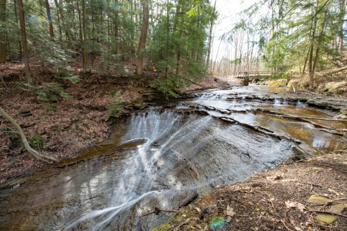 A serene forest scene featuring a flowing stream and rocky banks, surrounded by lush green trees and a wooden bridge in the distance.