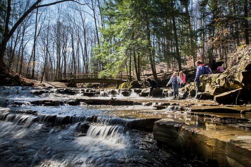 A serene stream flows over rocks, with people walking along the bank and a bridge in the background surrounded by trees.