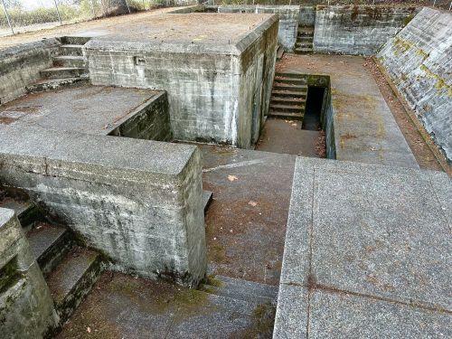 Abandoned concrete structure with stairs and a sunken area, surrounded by overgrown vegetation.