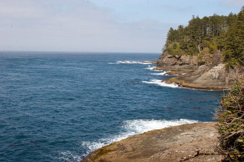 A rocky coastline with waves crashing against the shore, surrounded by trees and a clear blue sky.