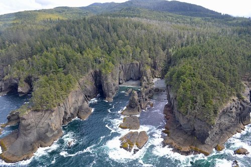 Aerial view of rugged coastline with rocky cliffs, lush green trees, and crashing waves against the shore.