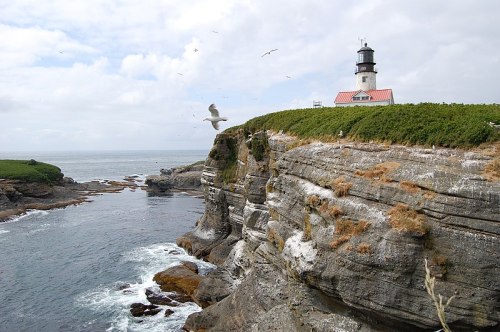 A lighthouse on a rocky cliff overlooking the ocean, with seagulls flying in a cloudy sky.