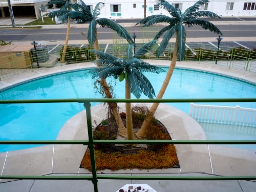 A view of a pool surrounded by palm trees and colorful landscaping, with a railing in the foreground.