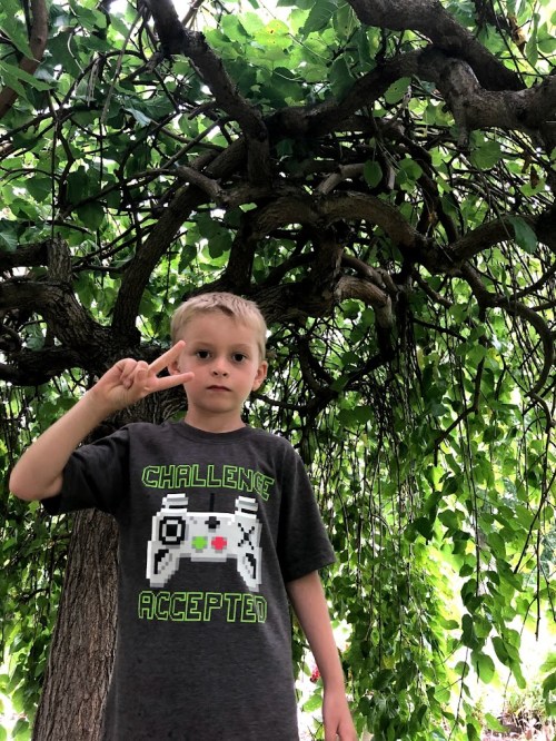 A young boy in a gray "Challenge Accepted" shirt stands under a leafy tree, making a peace sign with his fingers.