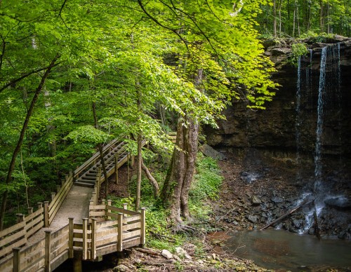 A wooden walkway leads through lush greenery to a waterfall cascading down a rocky cliff.
