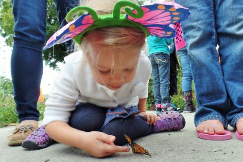 A young girl in butterfly wings gently reaches out to a butterfly on the ground, surrounded by adults.