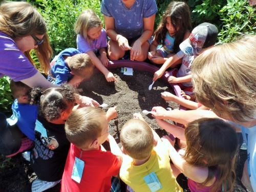 Children gathered around a garden bed, planting seeds with adults, enjoying a hands-on gardening activity.