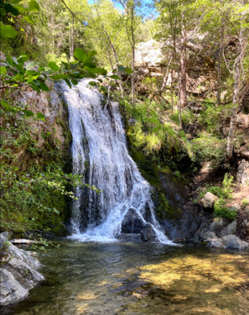 A serene waterfall cascades over rocks into a clear pool, surrounded by lush greenery and sunlight filtering through trees.