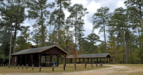 Two wooden pavilions in a forested area, surrounded by tall pine trees under a cloudy sky.