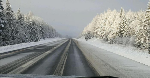A snow-covered road flanked by frosted trees under a cloudy sky, creating a serene winter landscape.