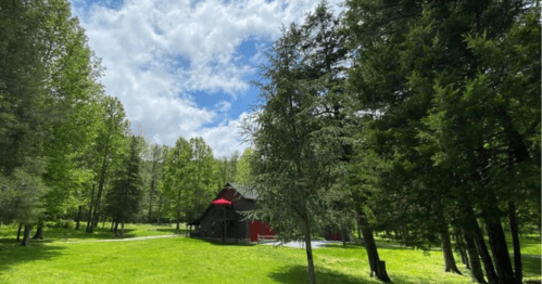 A red cabin surrounded by lush green trees and grass under a partly cloudy sky.