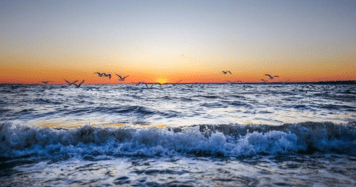 A serene sunset over the ocean, with waves gently crashing and birds flying in the colorful sky.