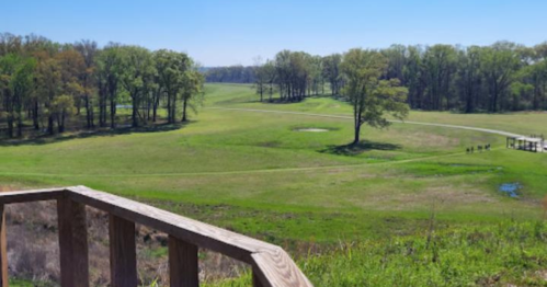 A scenic view of a green landscape with trees, a winding path, and a clear blue sky.