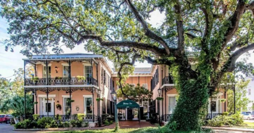 Historic building with balconies, surrounded by lush greenery and a large tree, creating a charming atmosphere.