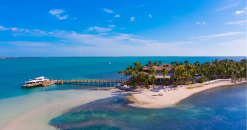 Aerial view of a tropical beach with palm trees, a wooden pier, and clear blue waters under a sunny sky.