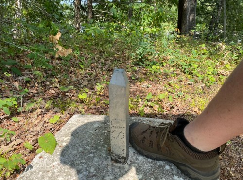 A person’s foot in a hiking boot next to a metal survey marker on a concrete base, surrounded by greenery.