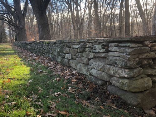 A long, weathered stone wall runs alongside a grassy area, surrounded by bare trees in a wooded setting.