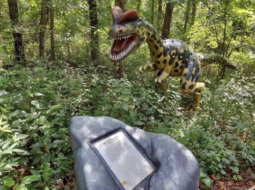 A colorful dinosaur statue in a wooded area, with a plaque on a rock nearby surrounded by greenery.