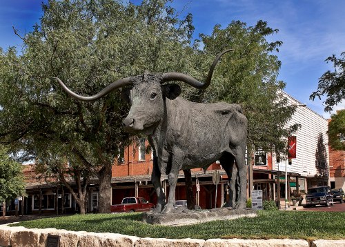 A large bronze statue of a longhorn steer stands in a park, surrounded by trees and historic buildings.