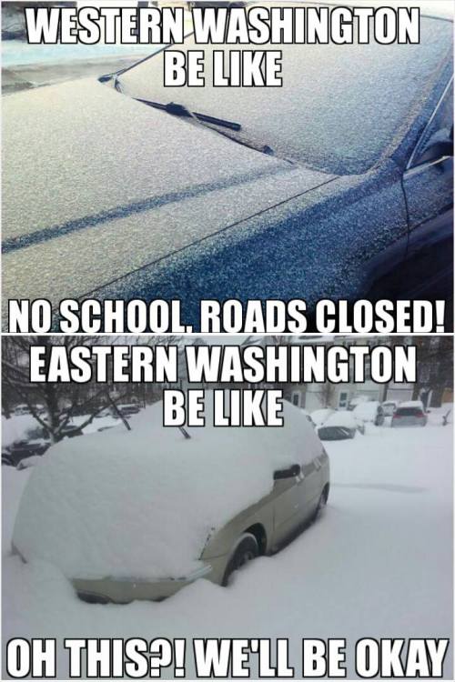 A split image showing snow-covered cars with captions contrasting Western and Eastern Washington's reactions to snow.