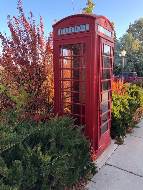 A red telephone booth surrounded by colorful autumn foliage and greenery on a sunny day.
