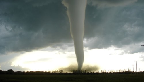 A large tornado descends from dark storm clouds over a flat landscape, with trees and power lines in the background.