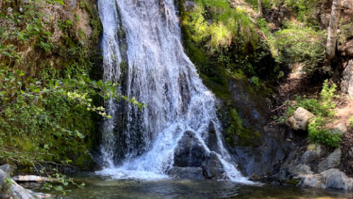 A serene waterfall cascading over rocks, surrounded by lush greenery in a peaceful forest setting.